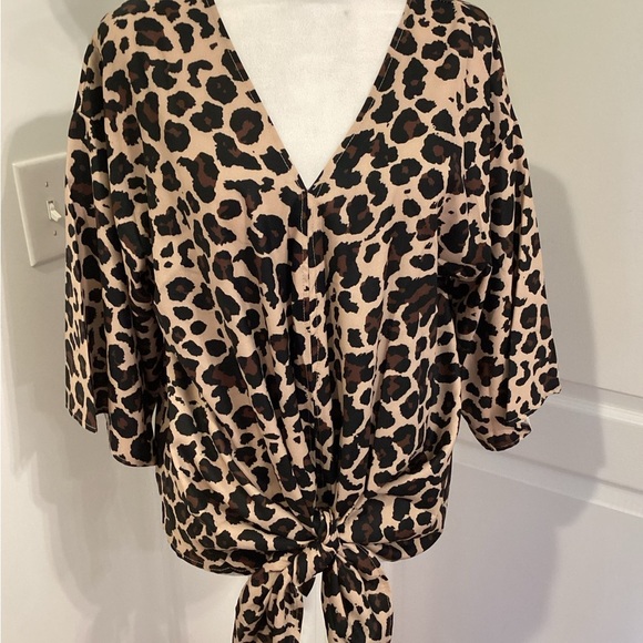 Stylish Leopard Print V-Neck Blouse (NWOT) Color: Leopard) - Picture 1 of 6